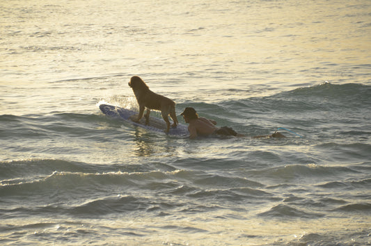 Chuchaki’s Guide to Medewi, Bali: Surf, Food, and Where to Stay